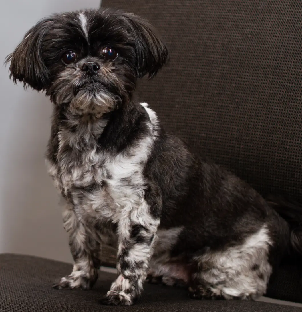 Bentley Oliver - Door Greeter at Balance Wellspace